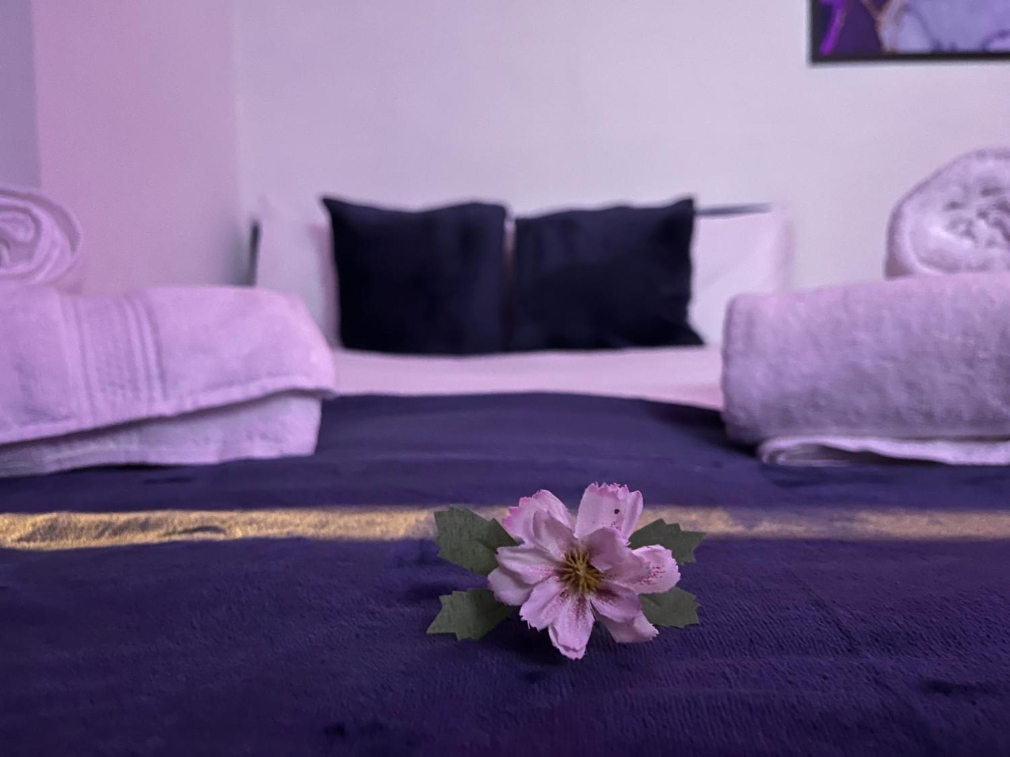 Apartment In Camden, Central Location 런던 외부 사진